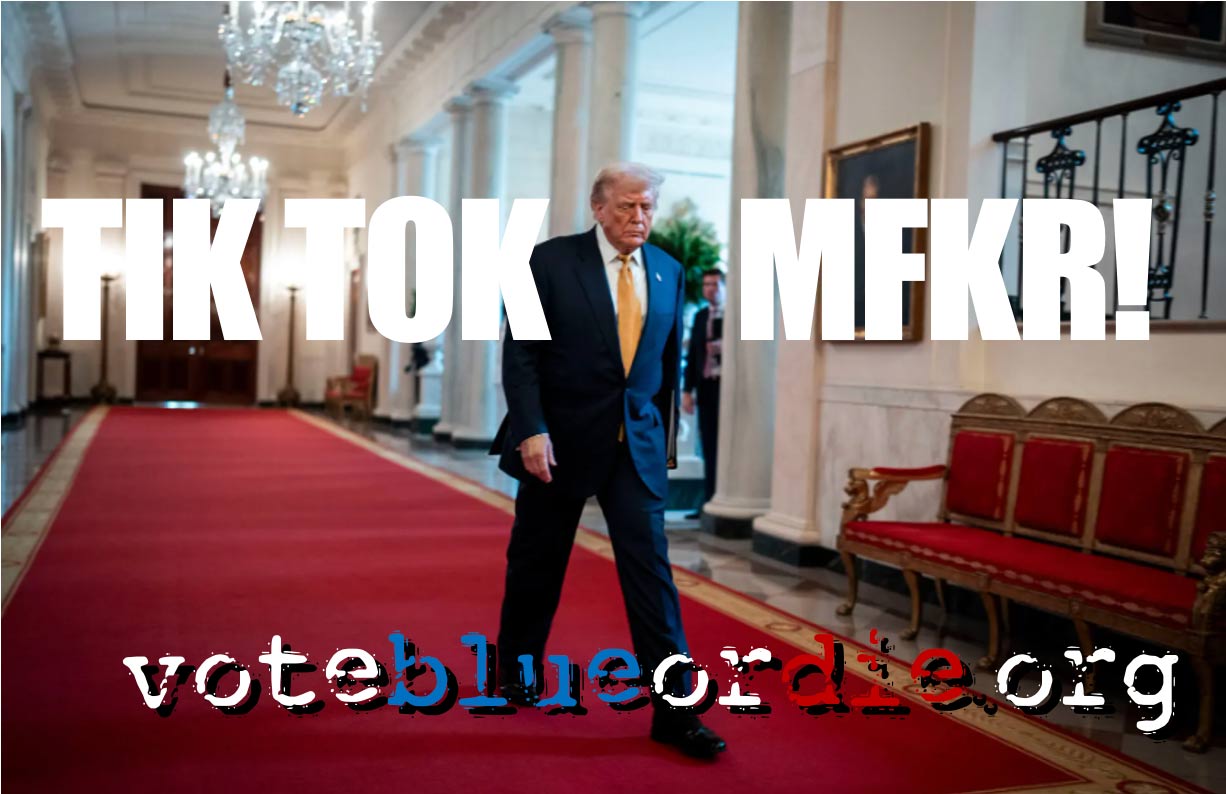 tiktok mfkr from voteblueordie.org